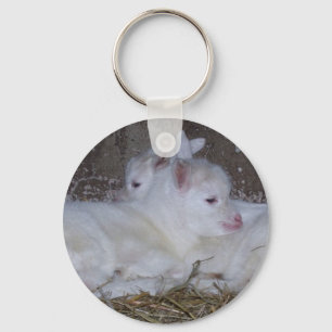 Two Baby Goats in Straw Key Ring