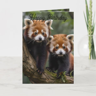 Two Baby Red Pandas, Birthday Card