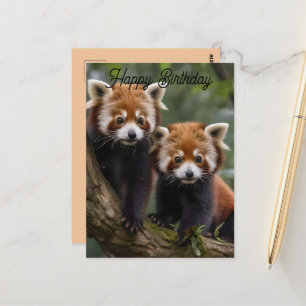 Two Baby Red Pandas, Birthday Postcard