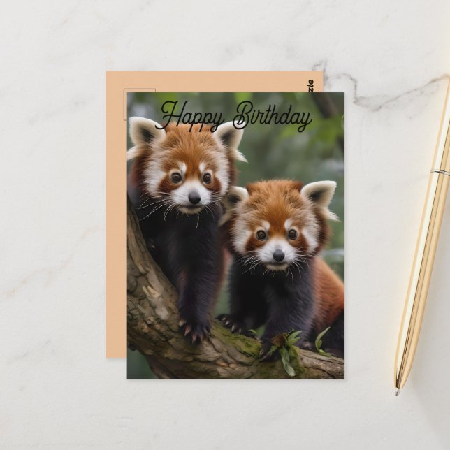 Two Baby Red Pandas, Birthday Postcard (Front/Back In Situ)
