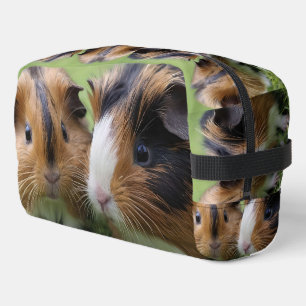 Two Baby Tortoiseshell Guinea Pigs, Dopp Kit
