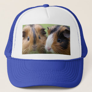 Two Baby Tortoiseshell Guinea Pigs, Trucker Hat