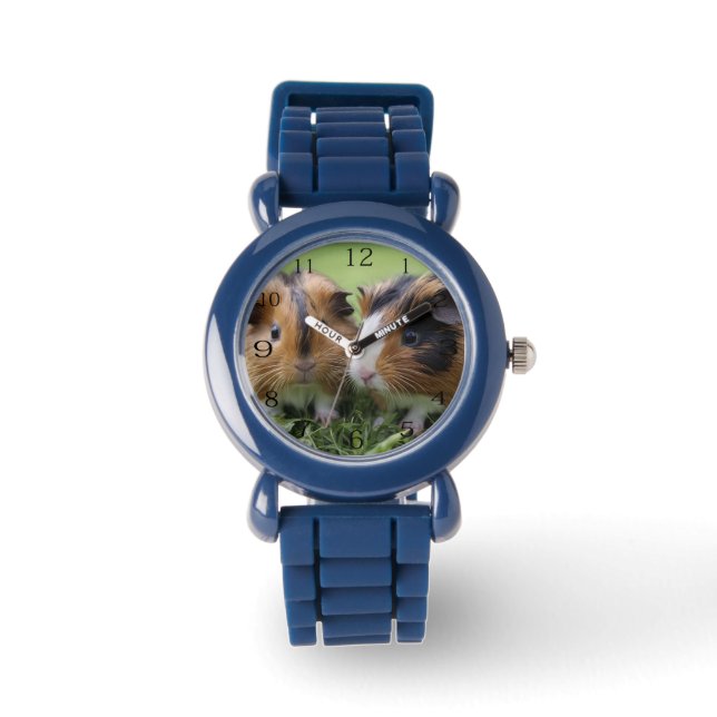 Two Baby Tortoiseshell Guinea Pigs, Watch (Front)