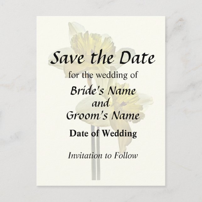 Two Backlit Daffodils Announcement Postcard (Front)