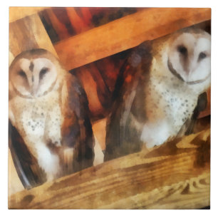 Two Barn Owls Tile