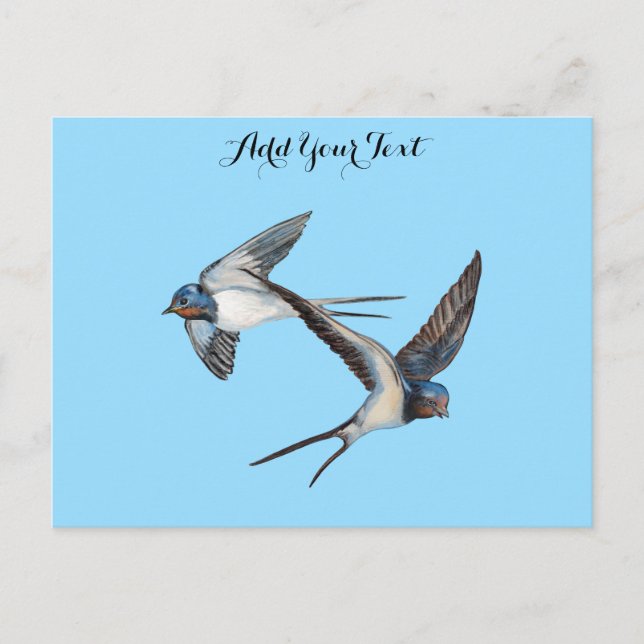 Two Barn Swallows Flying Personalised Postcard (Front)