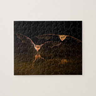 Two bats flying over water, Arizona Jigsaw Puzzle