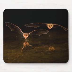 Two bats flying over water, Arizona Mouse Pad