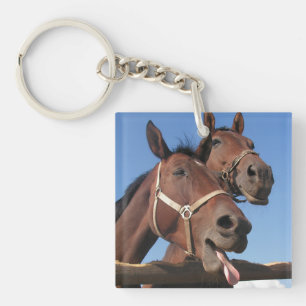 Two Bay Horses, Horse Stick Out Tongue Key Ring