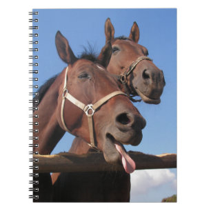 Two Bay Horses, Horse Sticking Out Tongue Notebook