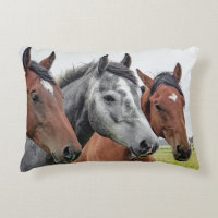 Two Bays and a Grey, Three Horses in a Row