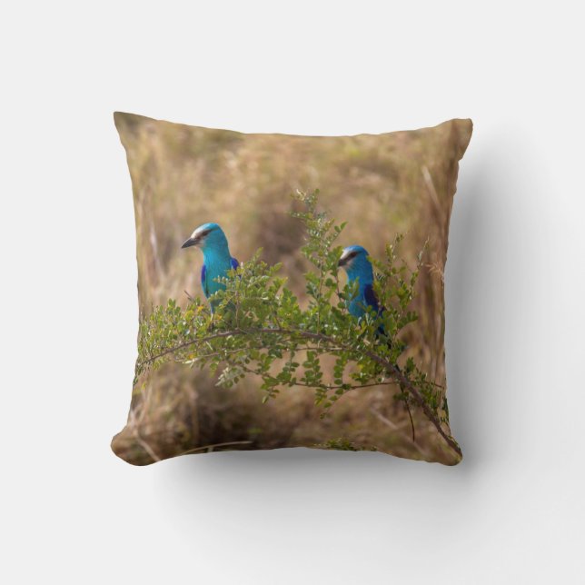 Two Beautiful Blue Birds on a Branch Cushion (Front)