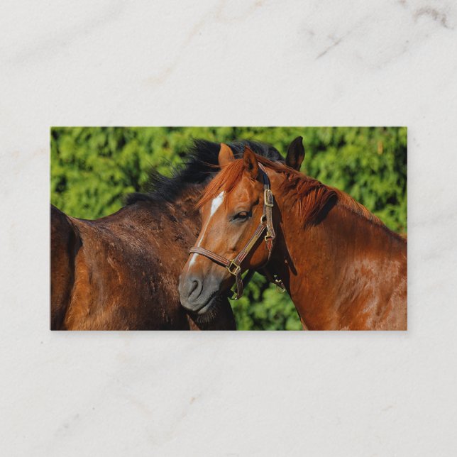 Two Beautiful Chestnut Horses in the Sun Business Card (Front)
