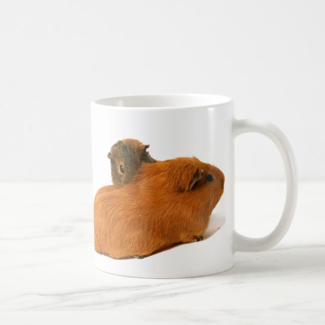 two beautiful guinea pig coffee mug (Right)