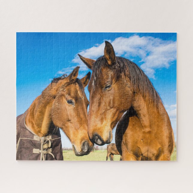 Two Beautiful Horses  Jigsaw Puzzle (Horizontal)