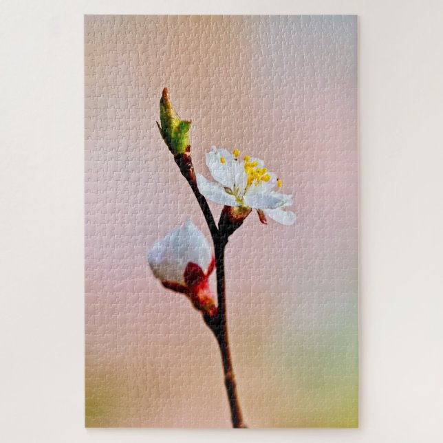 Two Beautiful Japanese Apricot Flowers Jigsaw Puzzle (Vertical)