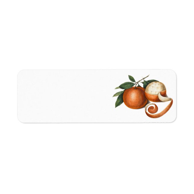 Two Beautiful Oranges - Antique Painting Return Address Label (Front)