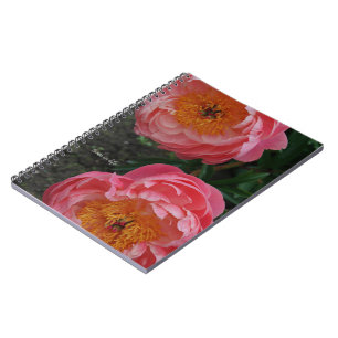 Two Beautiful Pink Peonies Notebook