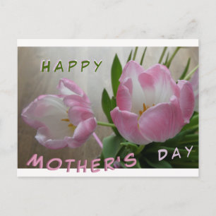 Two Beautiful Pink Tulips Mother's Day Postcard