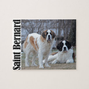 Two Beautiful Saint Bernard's Jigsaw Puzzle
