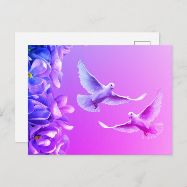 Two Beautiful White Doves Postcard (Front/Back)