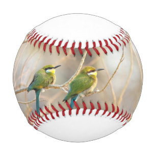 Two Bee-eaters Baseball