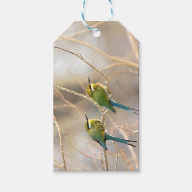 Two Bee-eaters Gift Tags (Front)