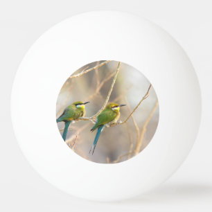 Two Bee-eaters Ping Pong Ball
