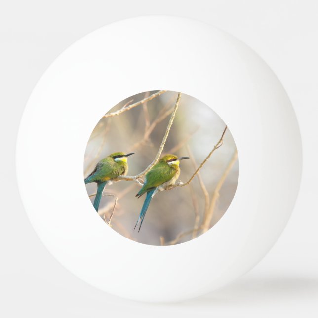 Two Bee-eaters Ping Pong Ball (Back)