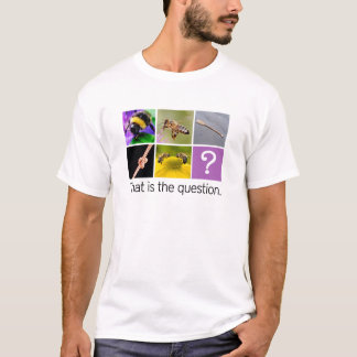 Two Bee Oar Knot Two Bee - Rebus Puzzle T-Shirt