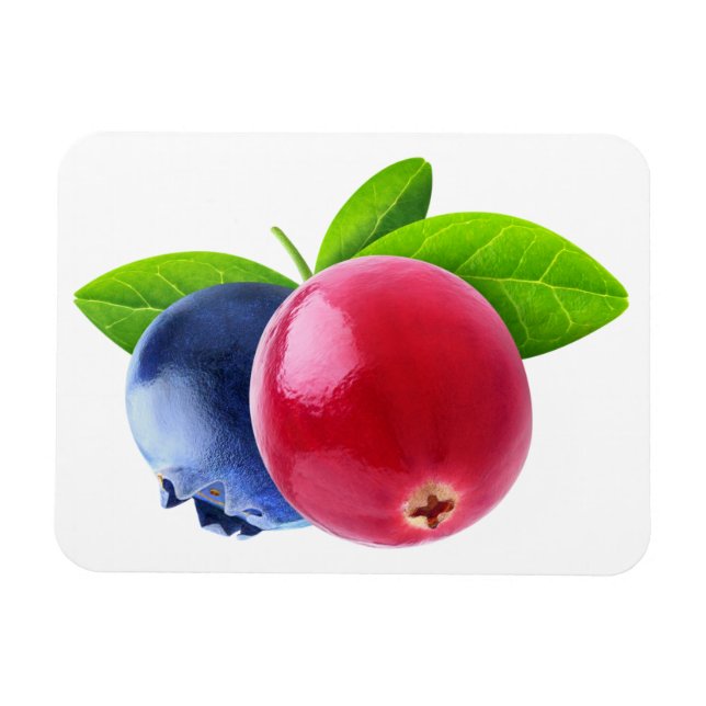 Two berries magnet (Horizontal)