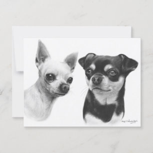 Two Best Friends Chihuahua Hand Painted Portrait Postcard