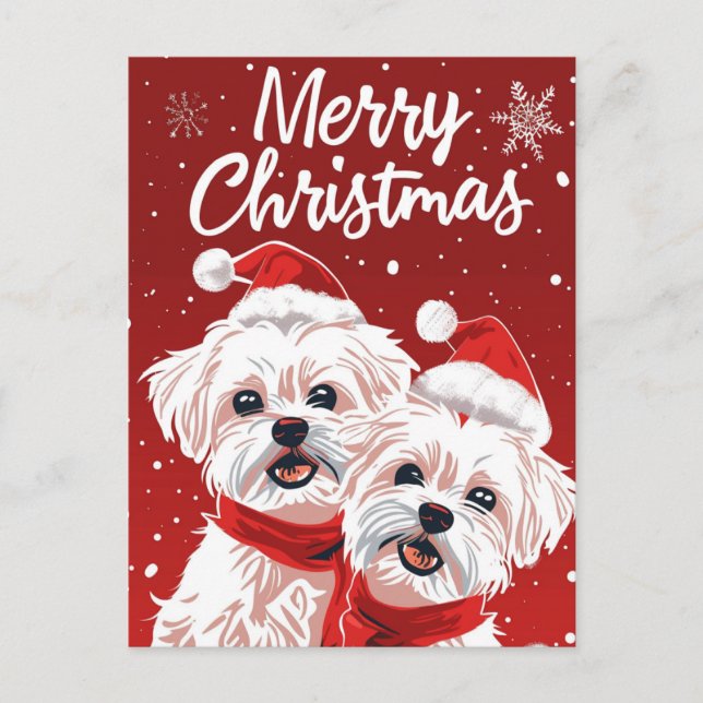 Two Bichon Frise Merry Christmas Postcard (Front)