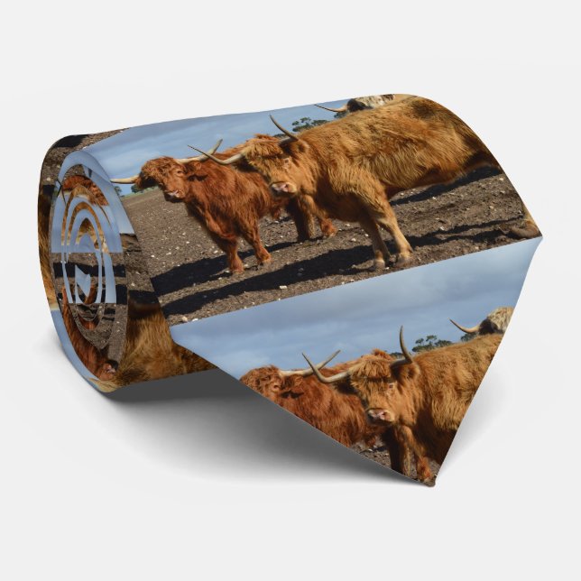 Two Big Brown Highland Cows Photography, Tie (Rolled)