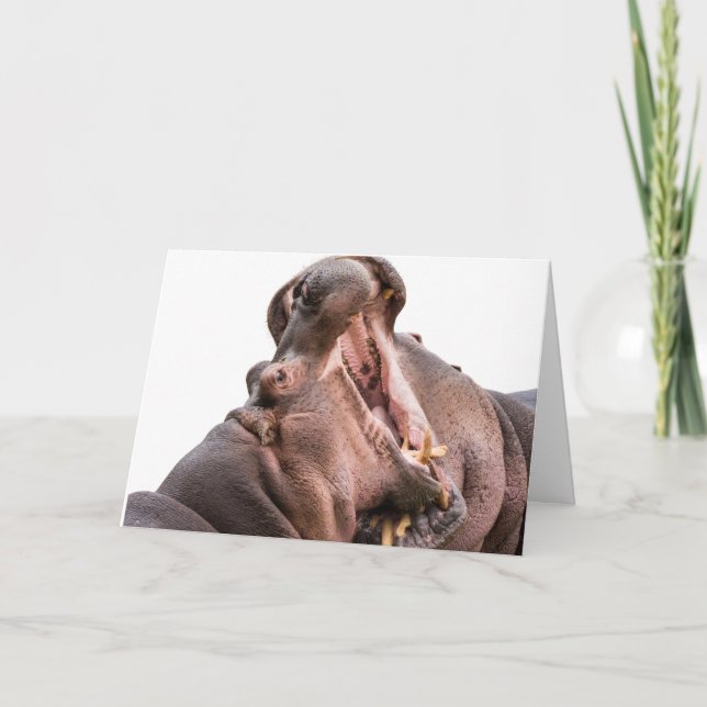 Two Big Mouth Hippo's Card (Front)