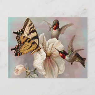 Two Birds & A Butterfly Sharing a Meal Postcard