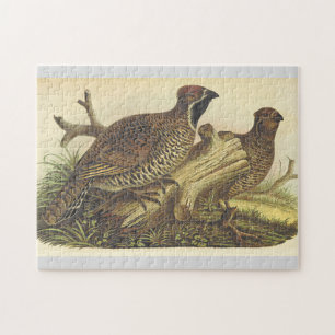 Two Birds Near a Tree Branch Puzzle