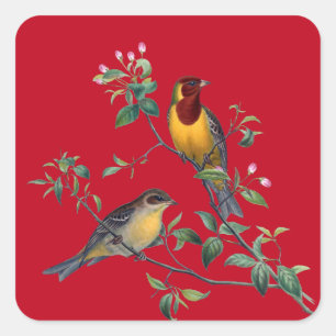 Two Birds on Flowering Tree Branches, Square Sticker