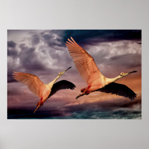 Two Birds Poster