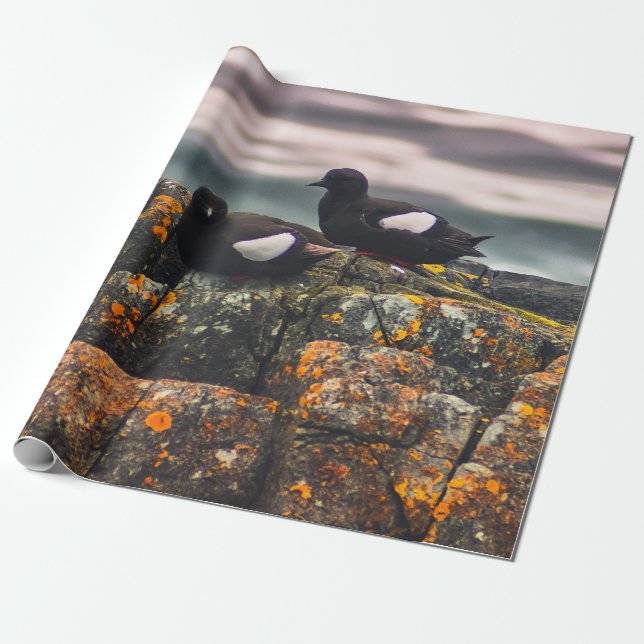 TWO BLACK BIRDS WRAPPING PAPER (Unrolled)