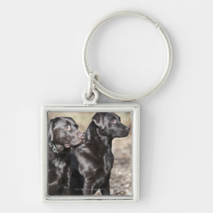 Two Black Labrador retrievers Key Ring