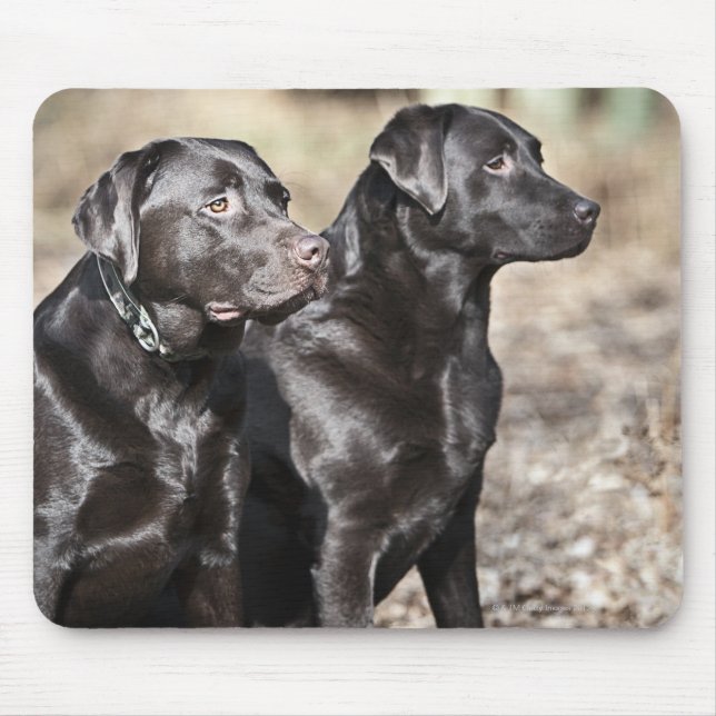 Two Black Labrador retrievers Mouse Pad (Front)