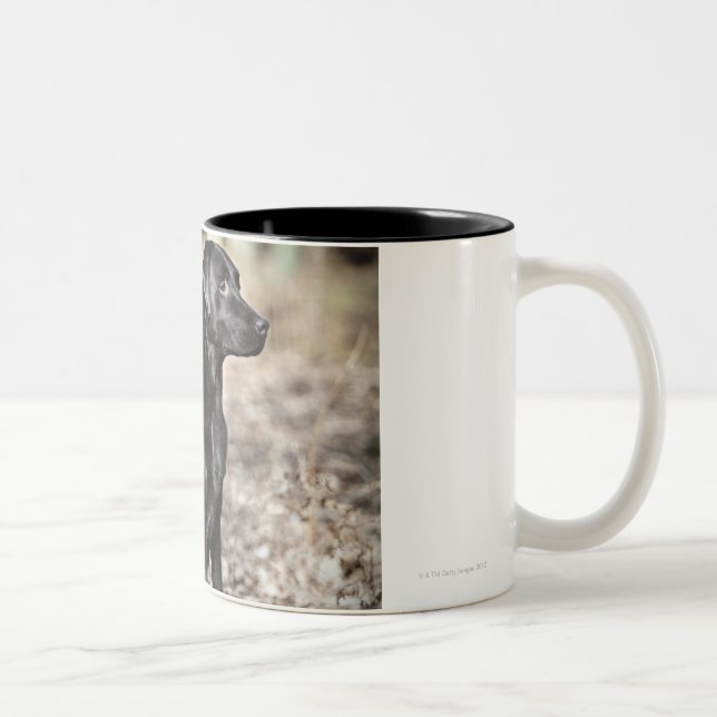 Two Black Labrador retrievers Two-Tone Coffee Mug (Right)