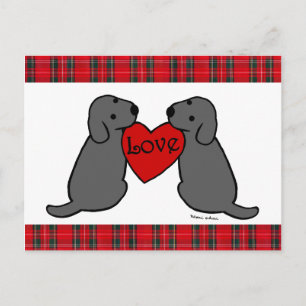 Two Black Labradors Cartoon Tartan Postcard