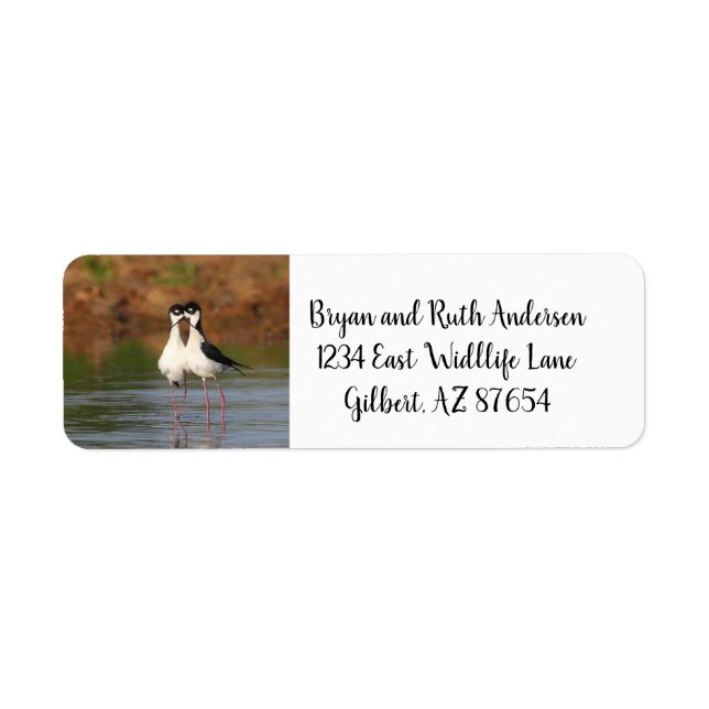Two Black-Necked Stilts Return Address Label (Front)