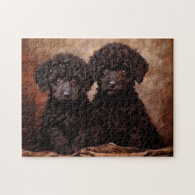 Two Black Poodle puppies portrait Jigsaw Puzzle (Horizontal)
