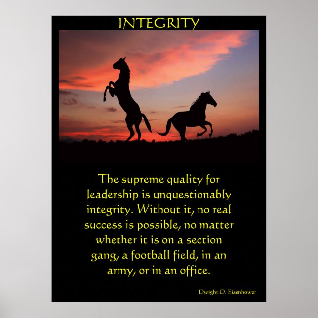 Two black stallions in a silhouette  poster (Front)