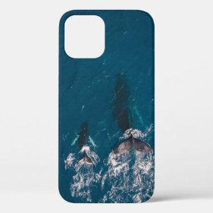 TWO BLACK WHALES SWIMMING IN BODY OF WATER iPhone 12 CASE