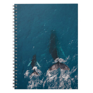 TWO BLACK WHALES SWIMMING IN BODY OF WATER NOTEBOOK