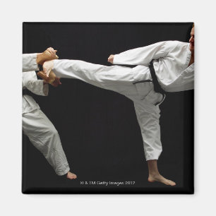 Two Blackbelts Sparring 2 Magnet